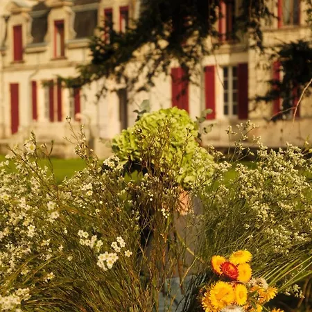 Villa Chateau Acar De Bedou